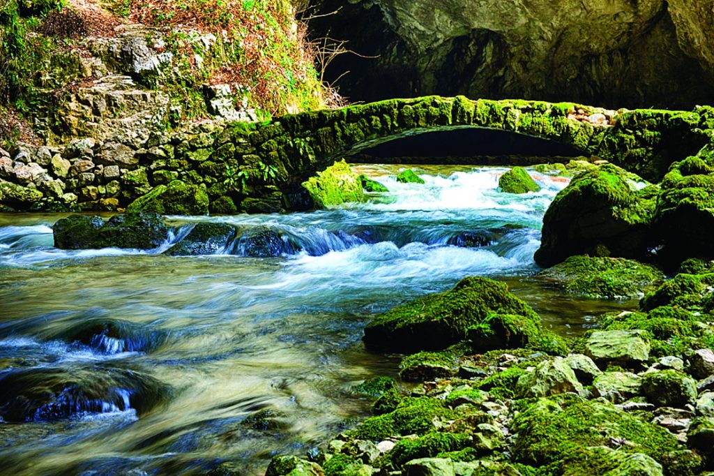 Rock Creek Park - Washingtonian Photograph of Rock Creek Park by Susan A Roth