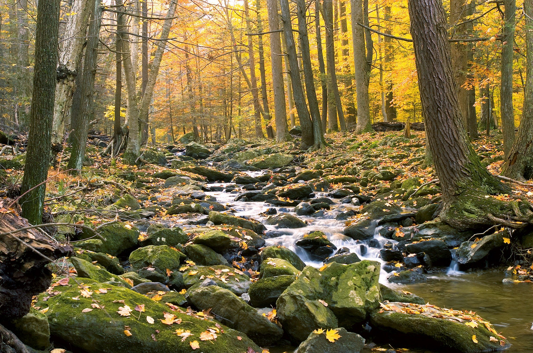 cunningham-falls - Washingtonian