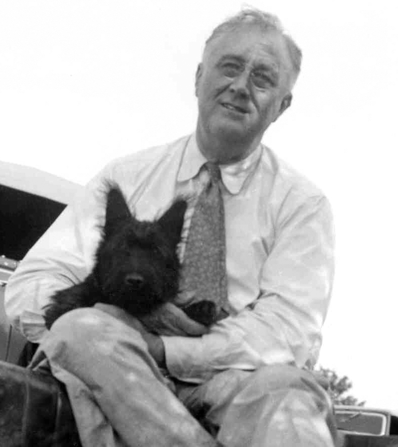 President Franklin D. Roosevelt and four month old Fala in August 1940 at a picnic near Pine Plains, NY. Taken by an employee of the Executive Office of the President of the United States.