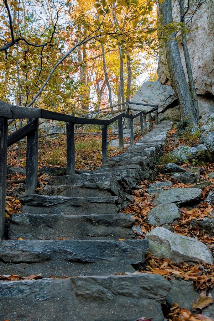 7 Hikes Near DC Where You Can See Amazing Fall