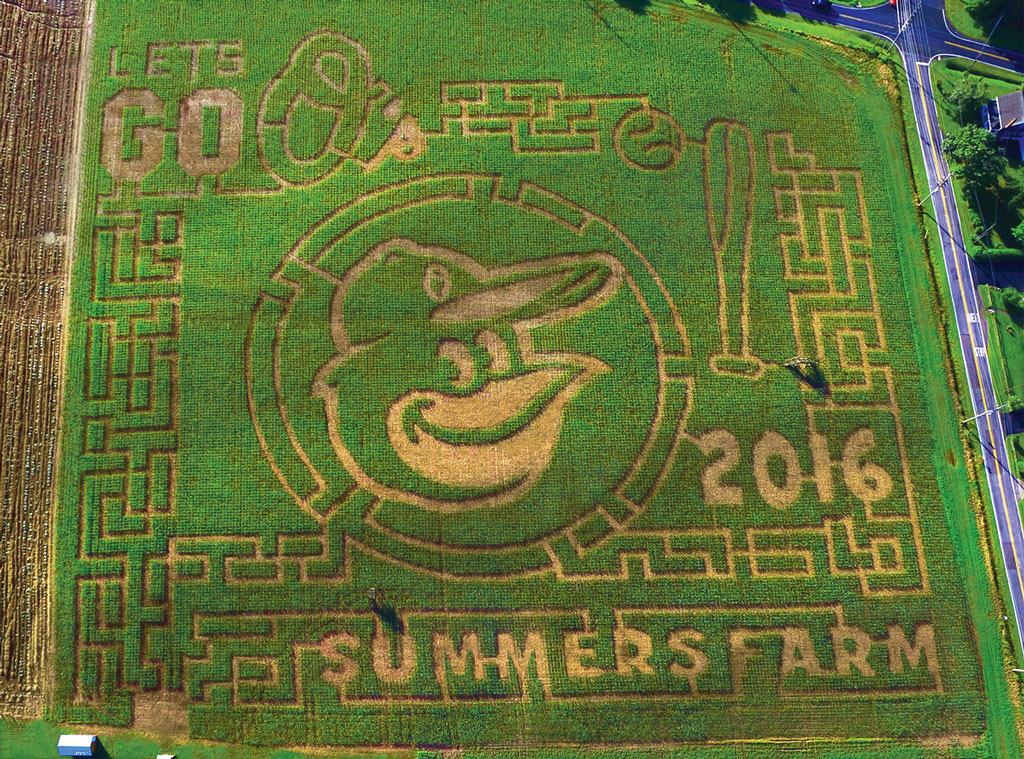 Photo courtesy of Summers Farm.