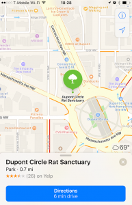 dupont-circle-rats-maps