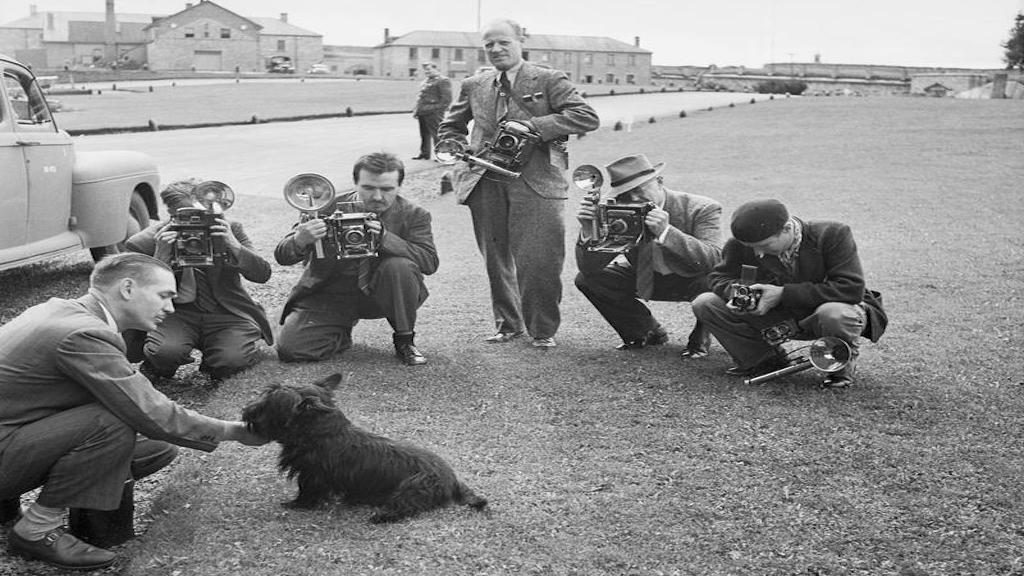 Fala, FDR's Scottish Terrier poses for photographers outside the Quebec Conference in August 1943. Photograph taken by an employee of the Executive Office of the President of the United States.