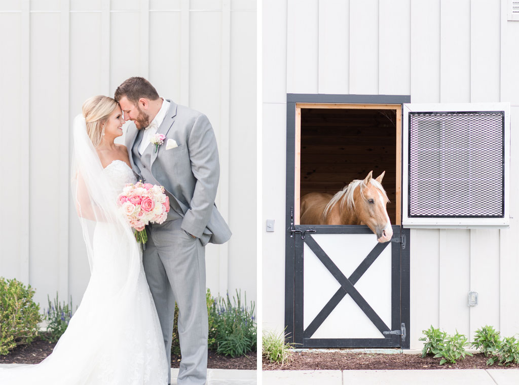 10-4-16-pink-shadow-creek-ranch-wedding-virginia-new3