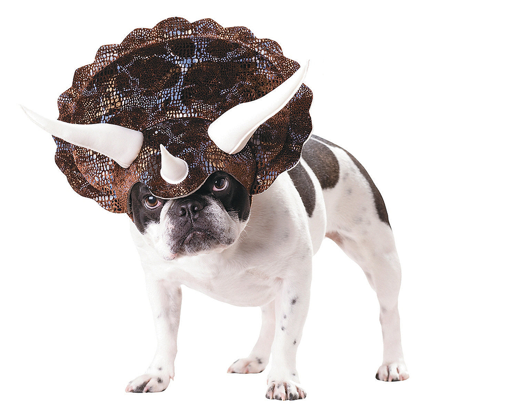 animal-planet-triceratops-medium-dog-costume-13638735