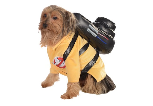 ghostbusters-jumpsuit-pet-costume-1