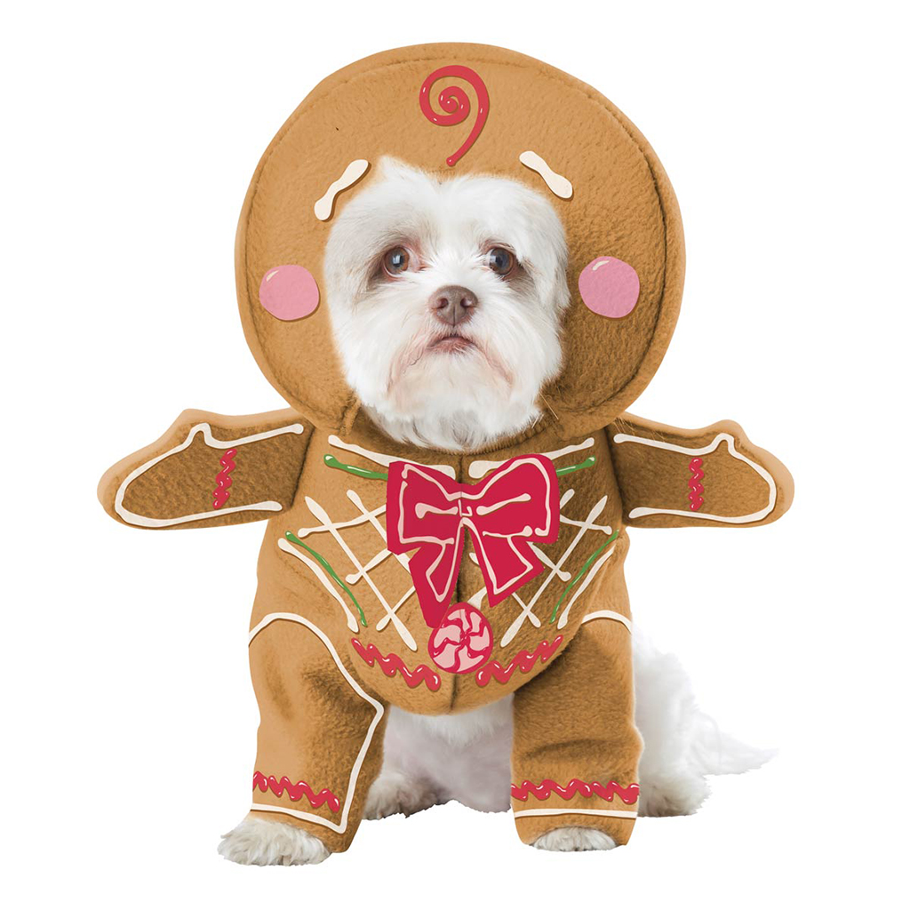 gingerbread-pup-dog-costume-5512