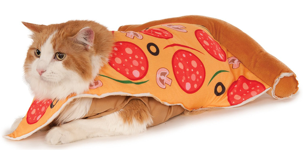 pizza-cat-rat-costume