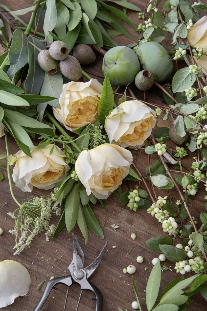 sidraflowers - Washingtonian Photo by Christopher Shane.