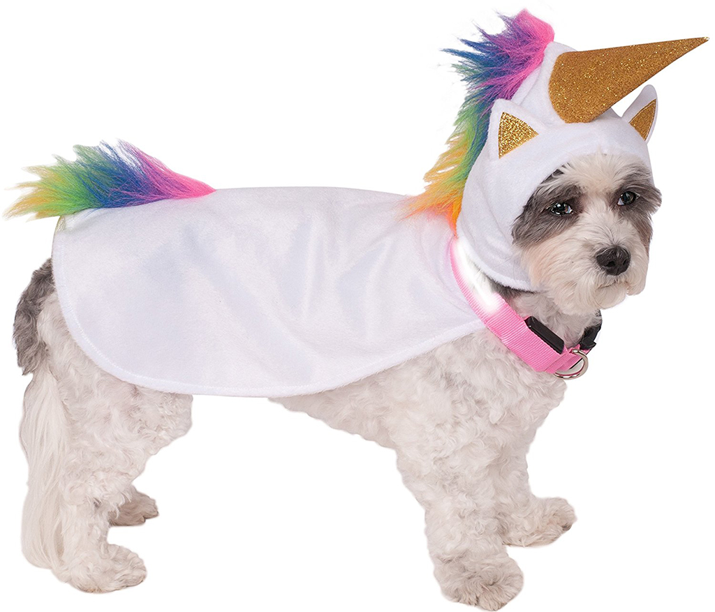 unicorn-dog