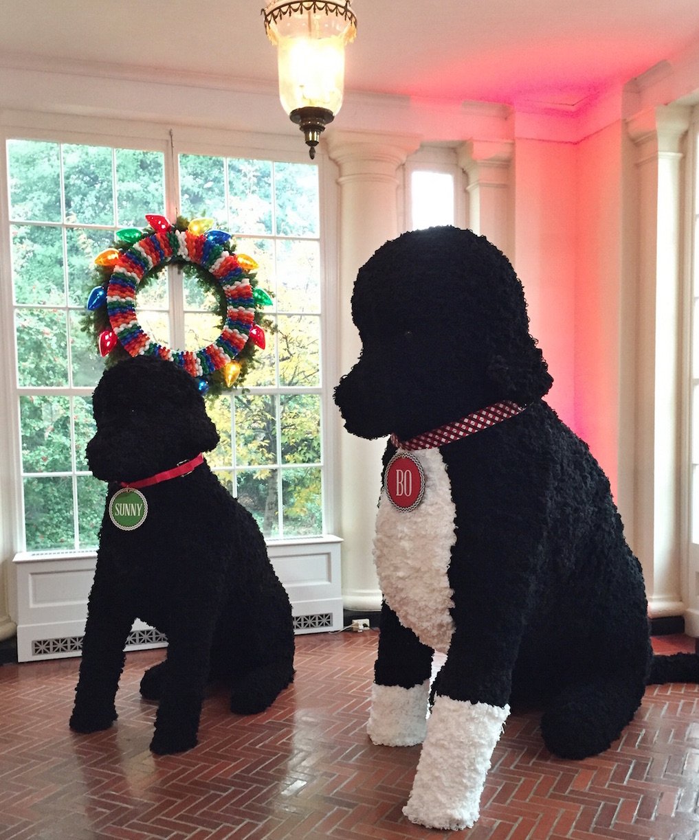 Larger than Life replicas of Bo &amp; Sunny made of 25,000 yarn poms-poms. Photo by Andrea Marks.