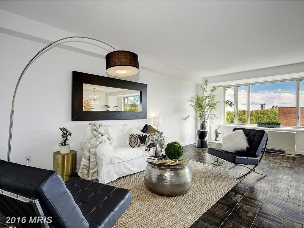 gb-living-room - Washingtonian Under 500k: Light-filled Apartment Near American University