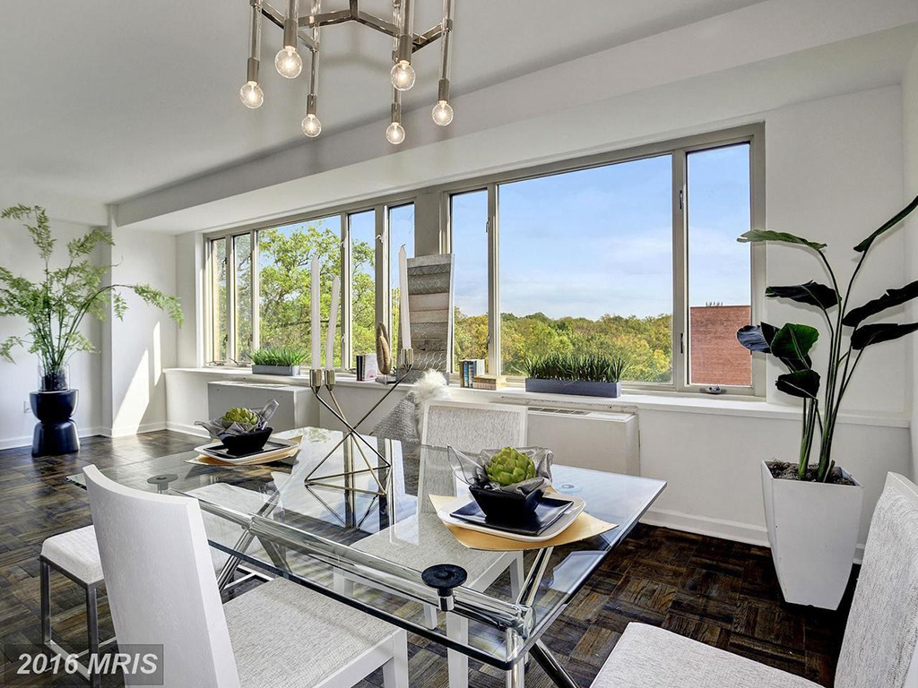 gbrier-dining-room - Washingtonian Under 500k: Light-filled Apartment Near American University