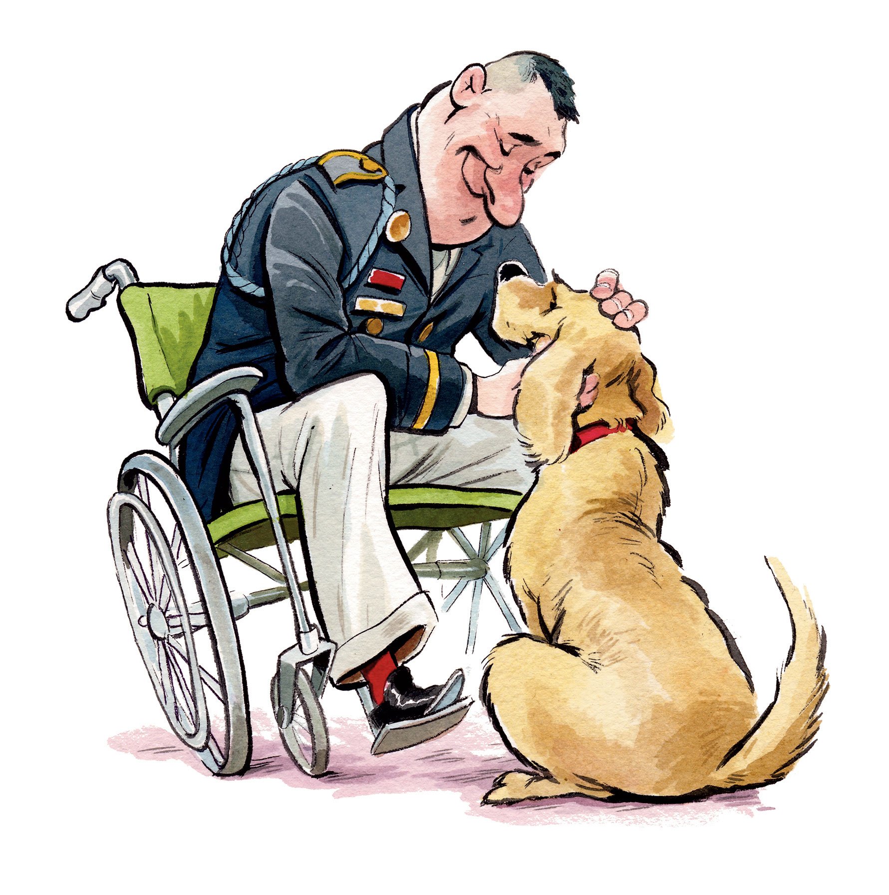Training a dog clearance to heal