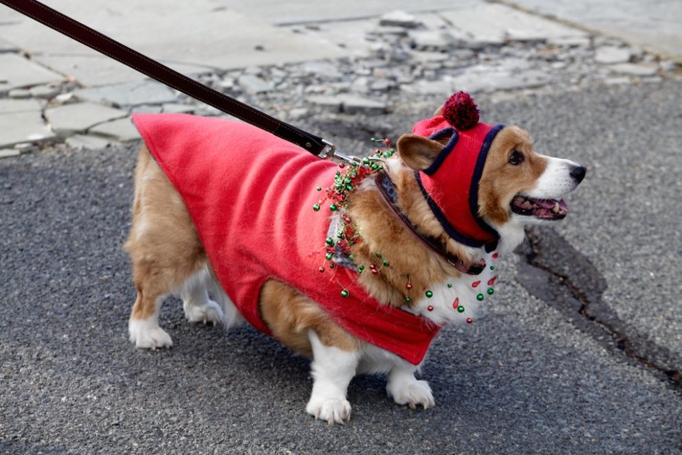 Middleburg Christmas Parade 2021