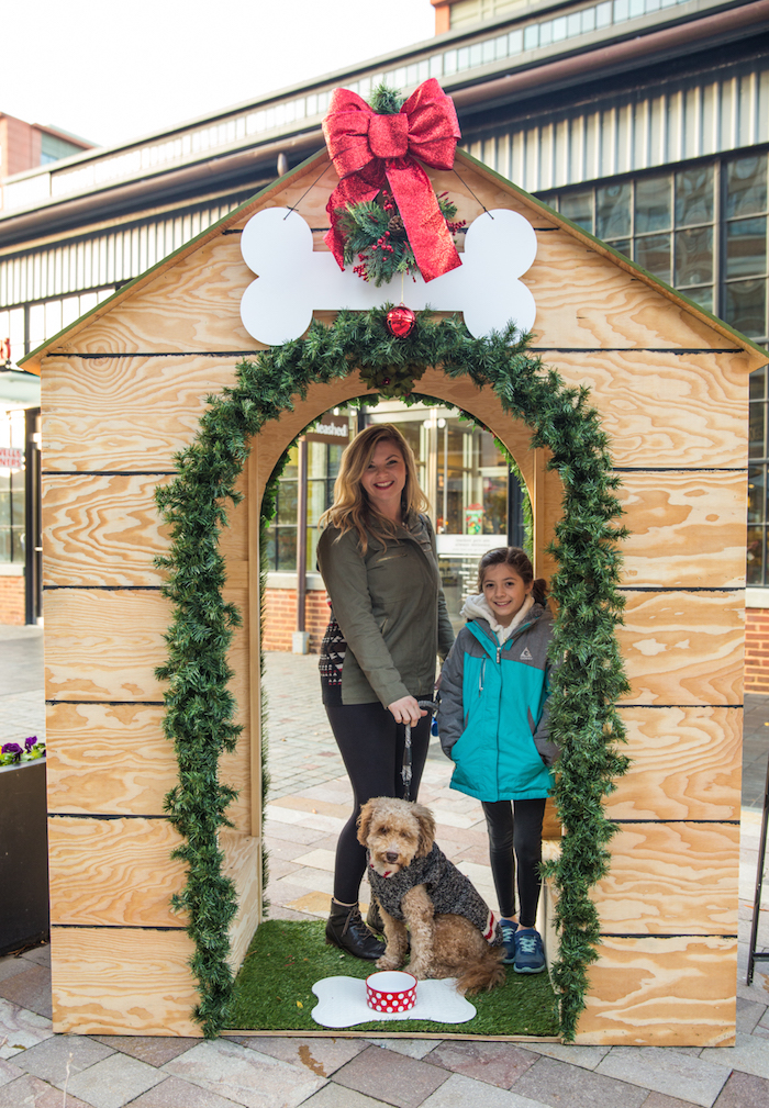 Feliz Naughty-Dog Mistletoe Installation at Yards Park. 