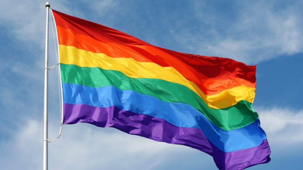 Image result for gay flag