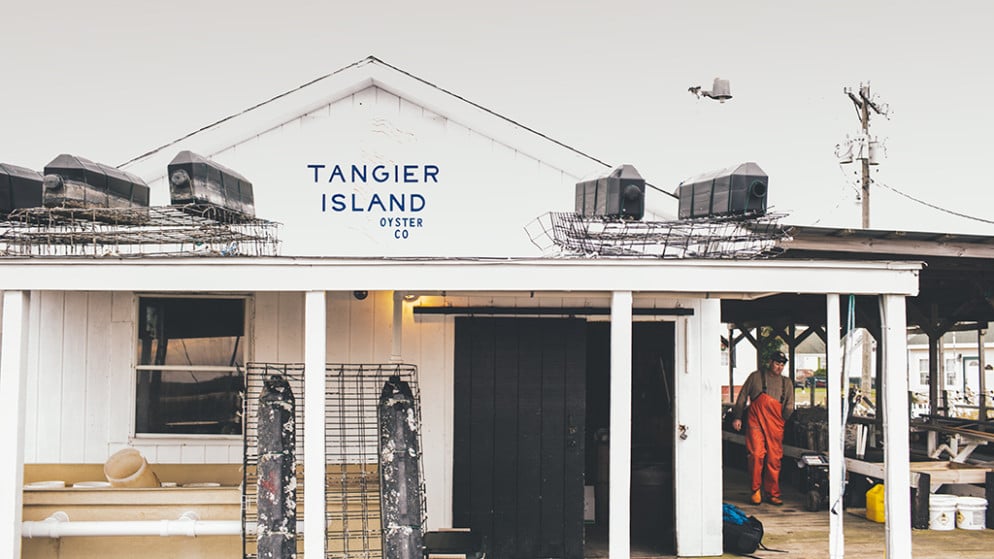 tangier-island