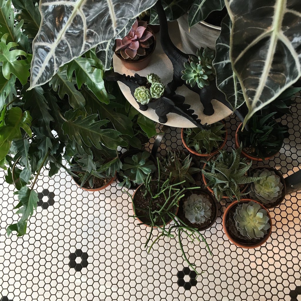 1-10-17-little-leaf-salt-and-sundry-shop-3