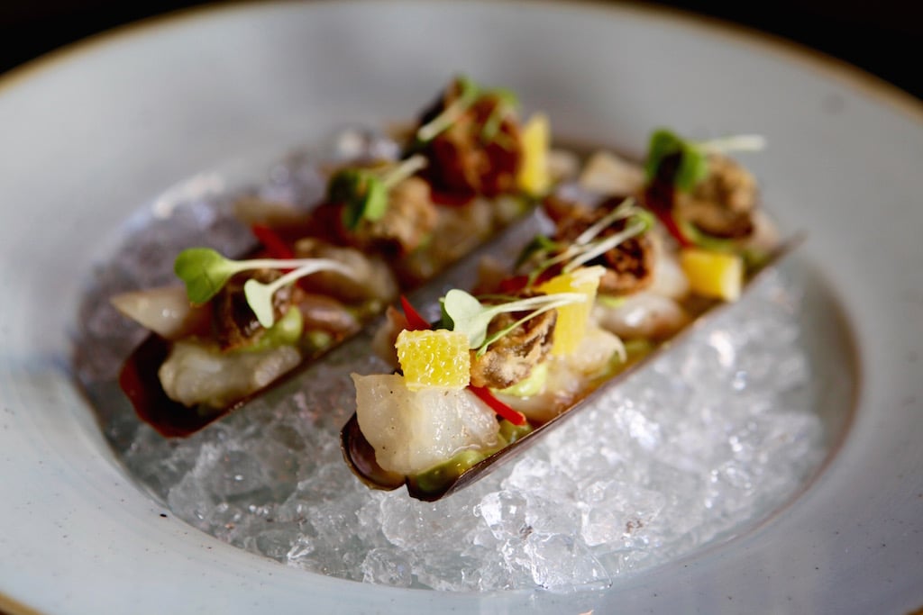 Razor clams are served escabeche style with Valencia orange vinaigrette. 