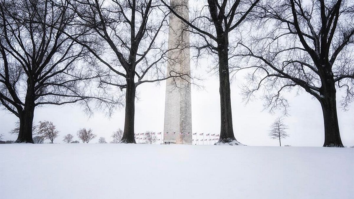 Photograph by Angela B. Pan (@abpanphoto).