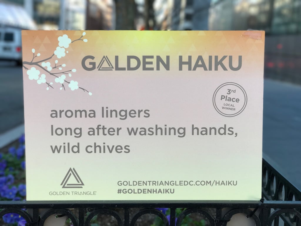 A Golden Haiku Contest winner.