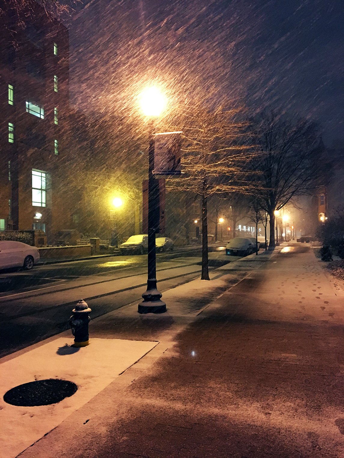 Snow coming down in Foggy Bottom. Photograph courtesy of Christina Witkowicki.