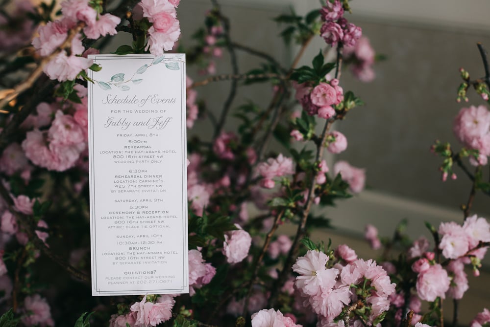 Gabby Weiss Jeff Flak Hay-Adams Cherry Blossom Wedding by Megan Beth Photography