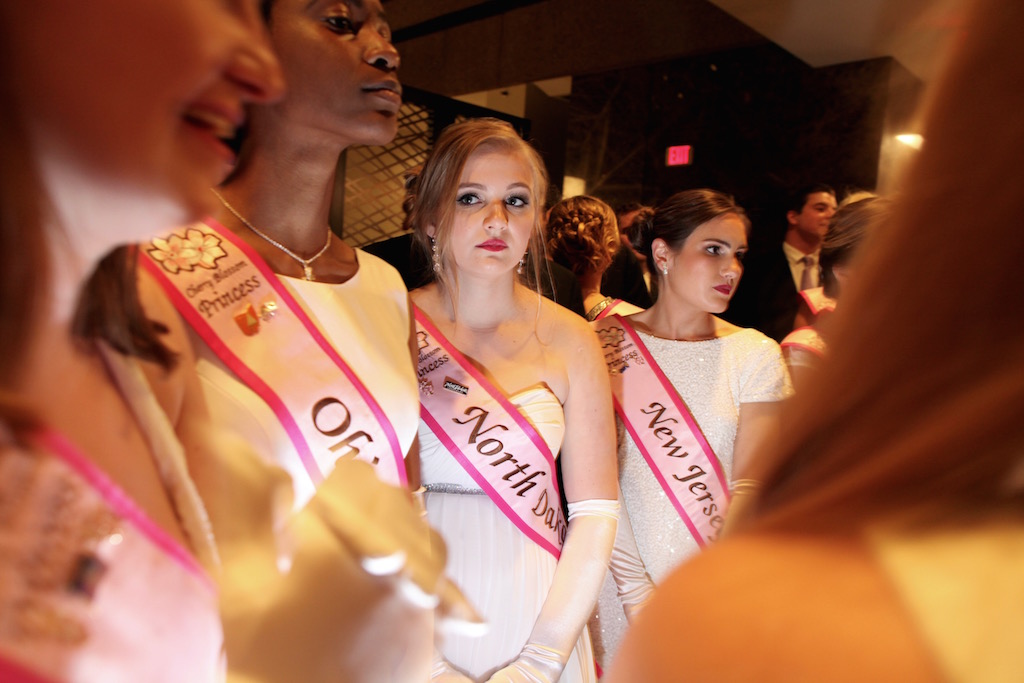 cherry blossom queen 2017