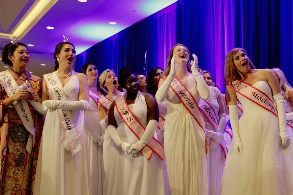 cherry blossom queen 2017