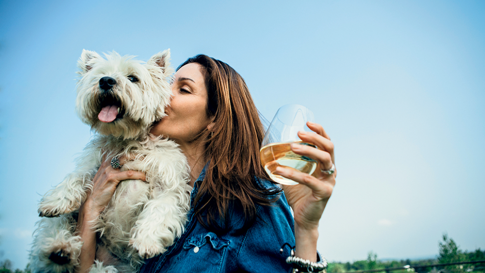 Big Cork Winery Dog Friendly Big Cork Winery Dog Friendly