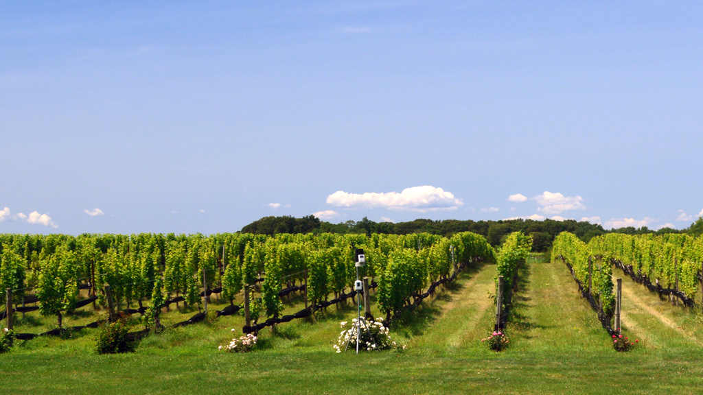 winery - Washingtonian