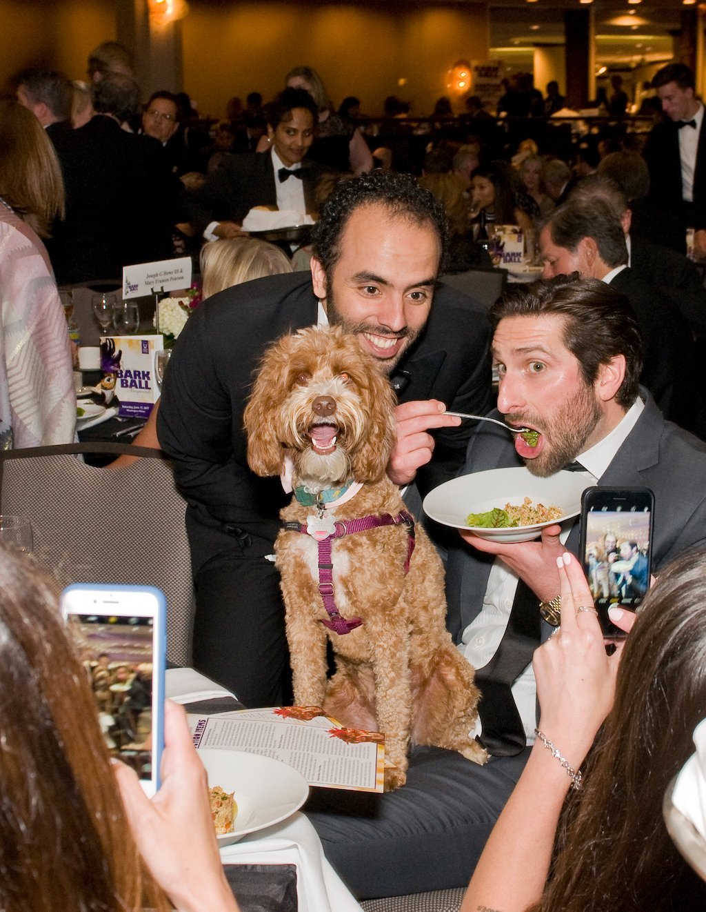 Bark Ball 2017 - Washingtonian Photo courtesy the Human Rescue Alliance.