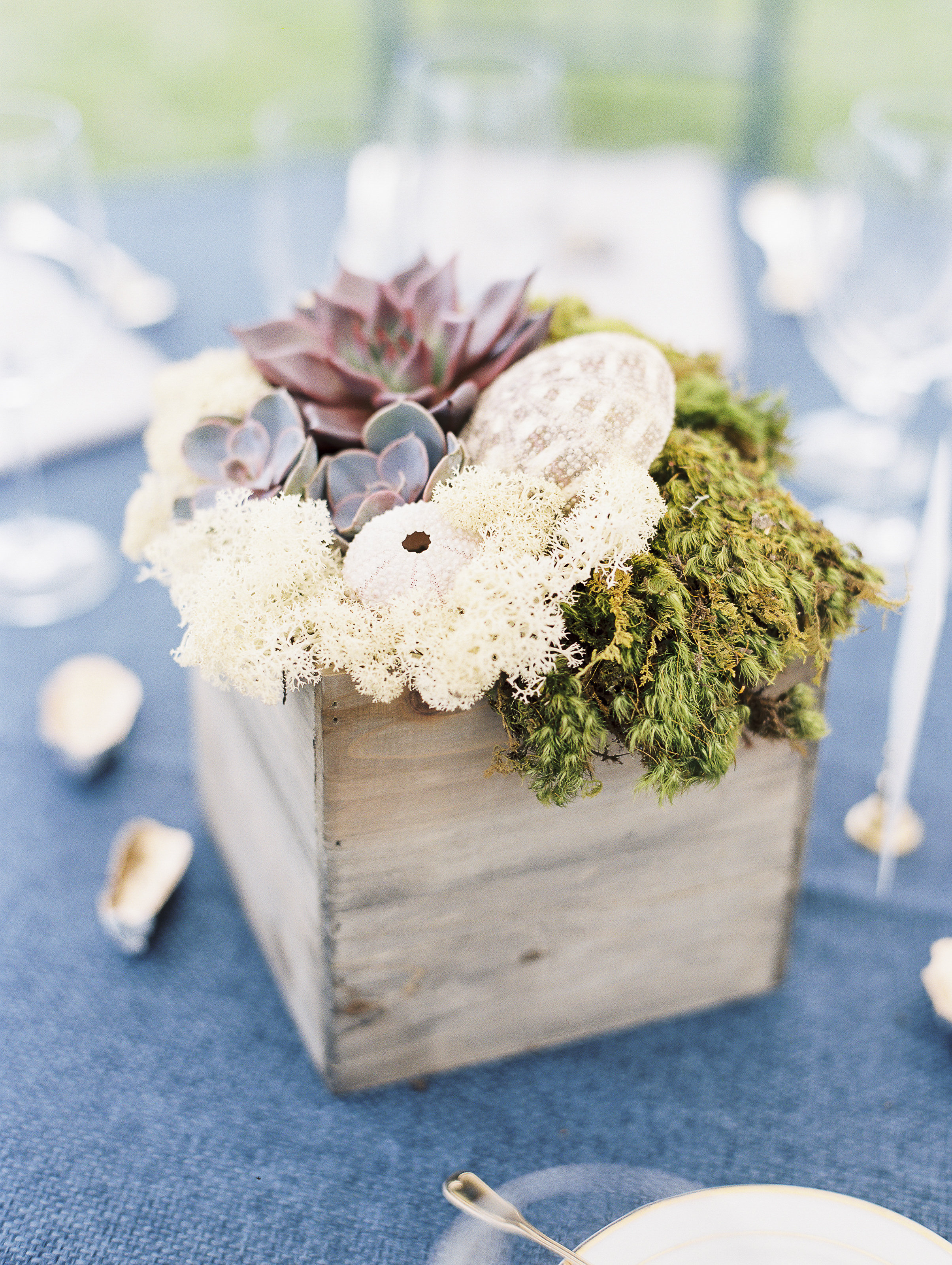 Emily Powell Daniel Bera Nautical Chesapeake Bay Museum St. Michaels Wedding