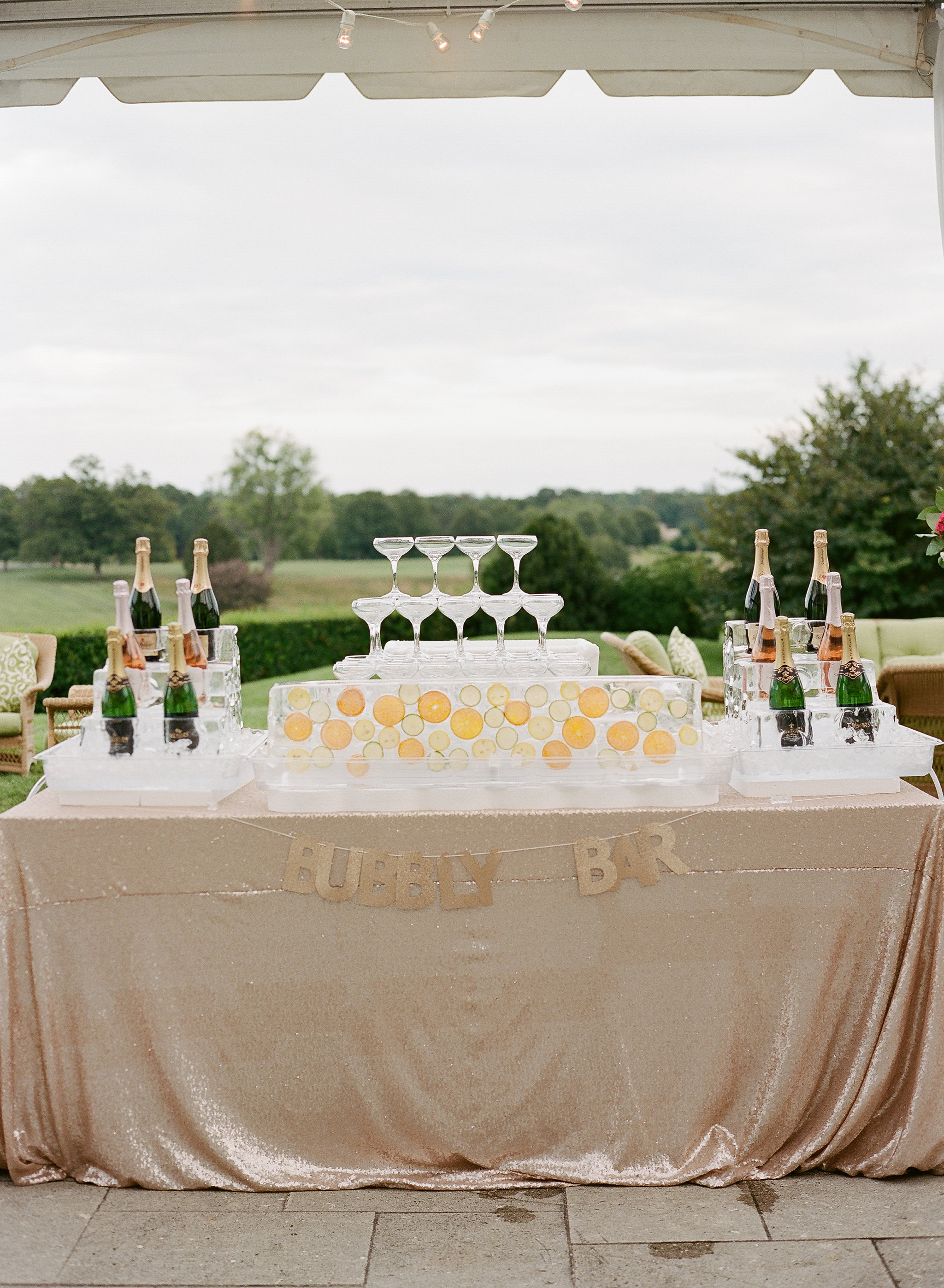 Katelyn Mancini and Jordan Coffman Deer Wedding With Silent Disco and Bicycle