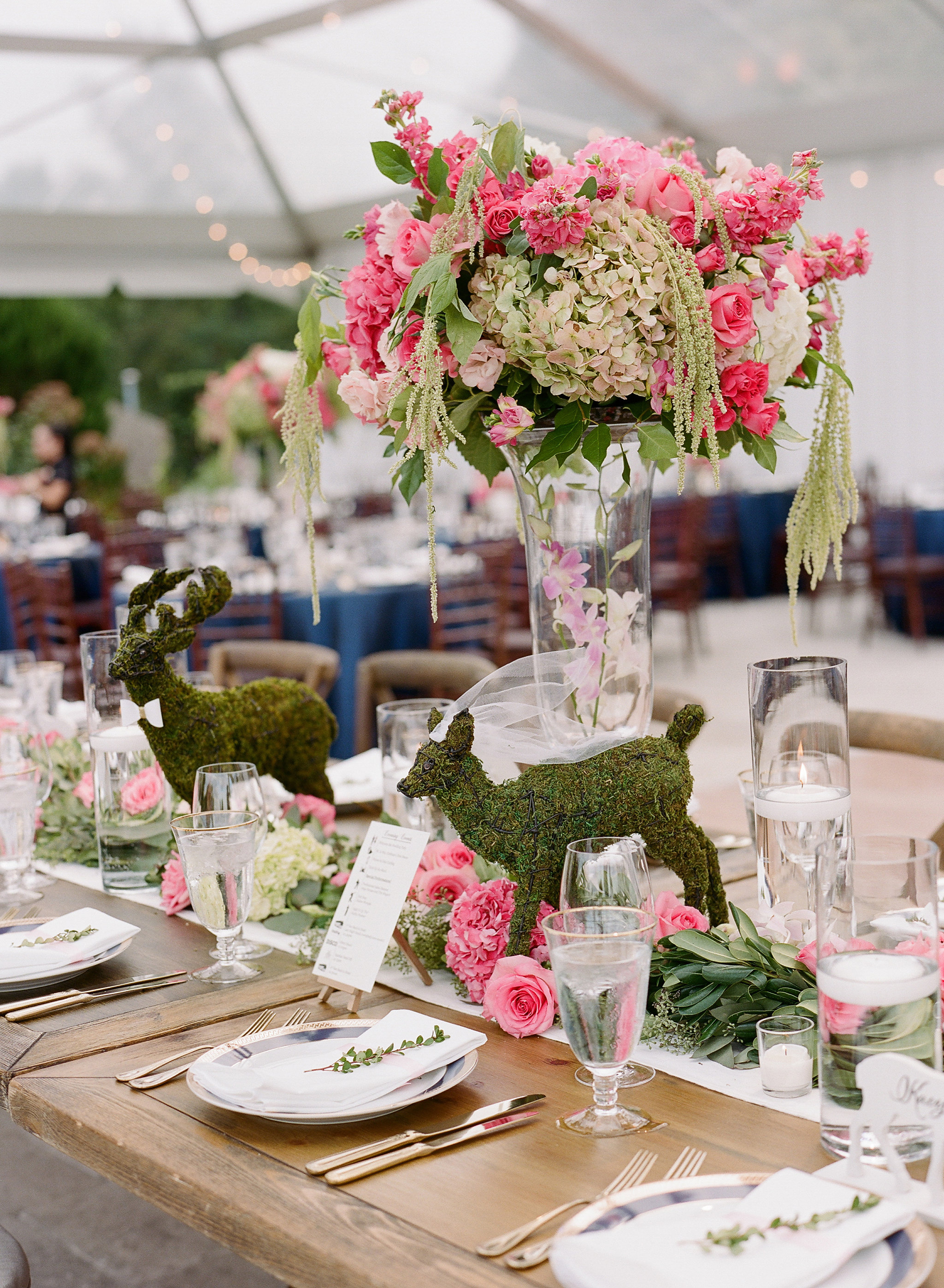 Katelyn Mancini and Jordan Coffman Deer Wedding With Silent Disco and Bicycle