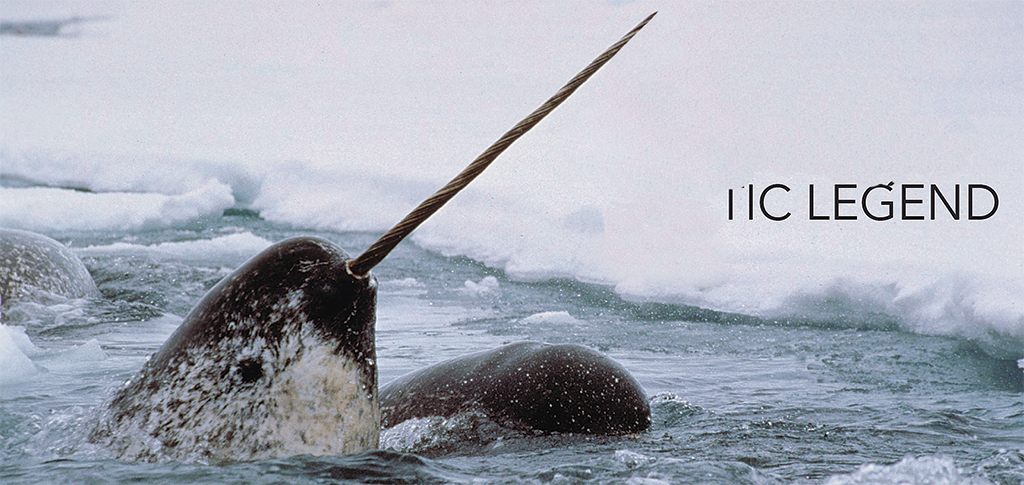 Narwhal: Revealing an Arctic Legend