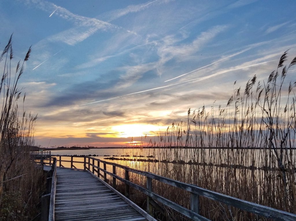 back-bay-wildlife-refuge - Washingtonian