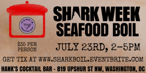 shark boil - Washingtonian