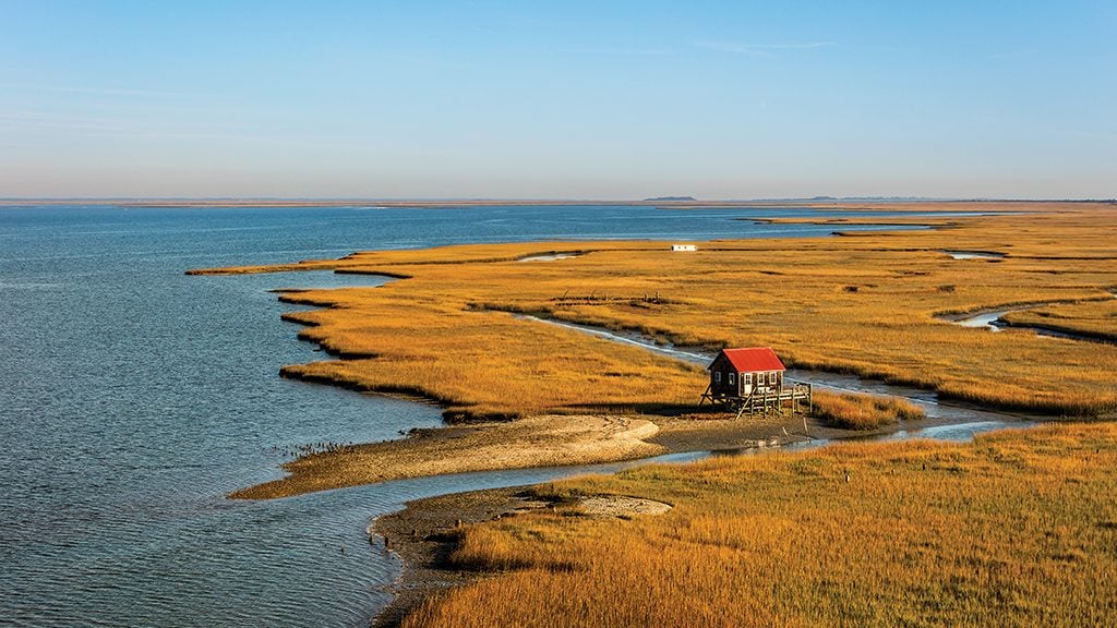 Hog Island. Photograph by Gordon Campbell/At Altitude Gallery.