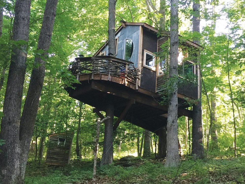 4 Epic Treehouses Near DC You Can Rent for a Memorable ...