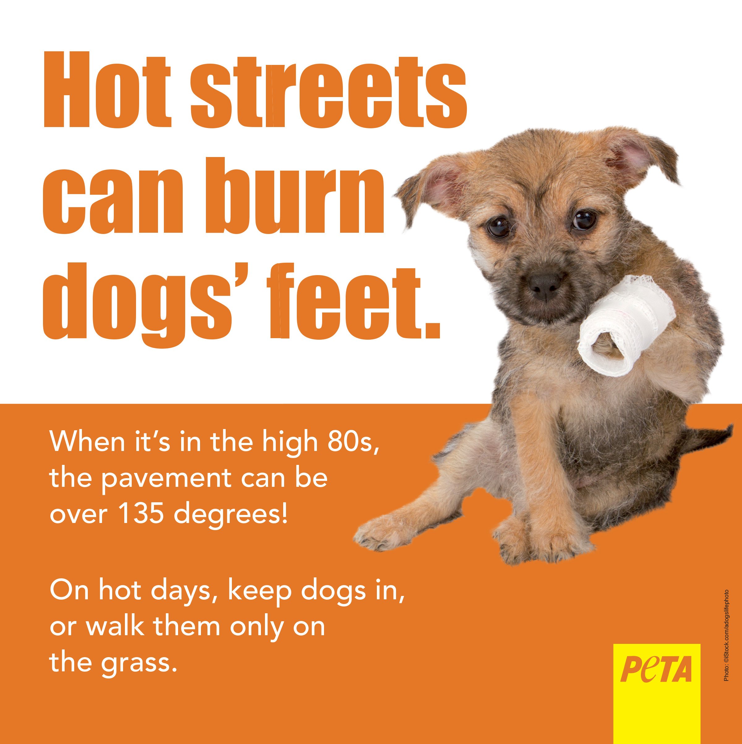 HotStreetSidewalkAd_8x8_300 - Washingtonian