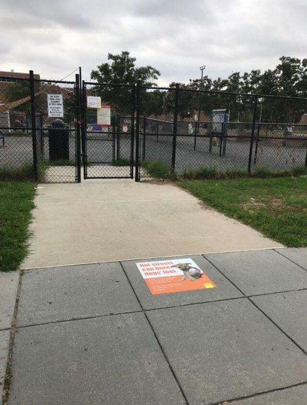 PETA sign - Washingtonian