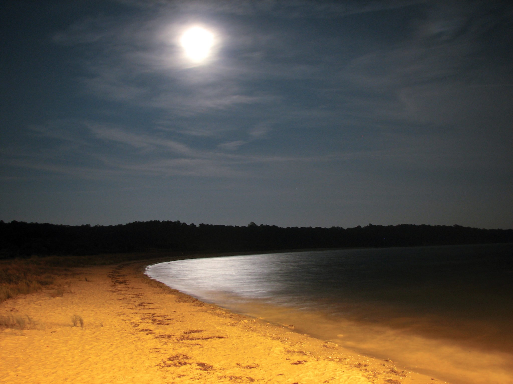 Camping near DC: Kiptopeke State Park Photograph courtesy Of Virginia Department of Conservation and Recreation.