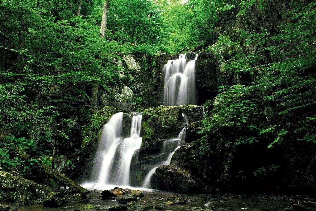 Shenandoah.Waterfall - Washingtonian Photograph by Elyse V. Clark.