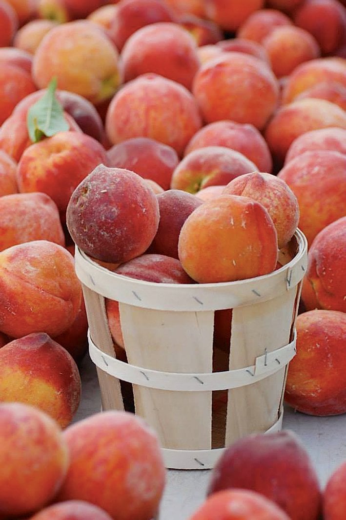 Alexandria.FarmersMkt2 - Washingtonian Photograph by Susan Birchler.