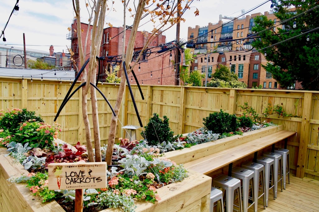 CalicoGarden - Washingtonian