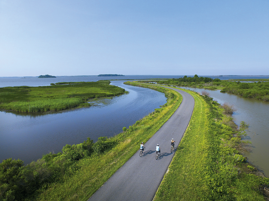 Blackwater National Wildlife Refuge. Photograph by Clark Vandergrift.