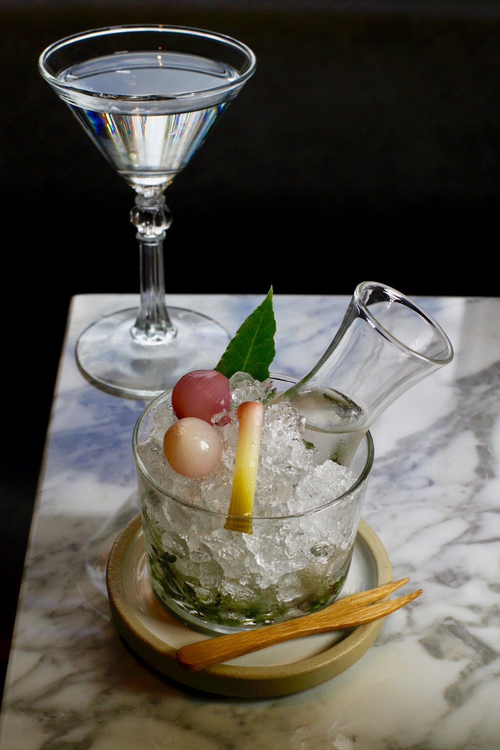 RequinTini2 - Washingtonian