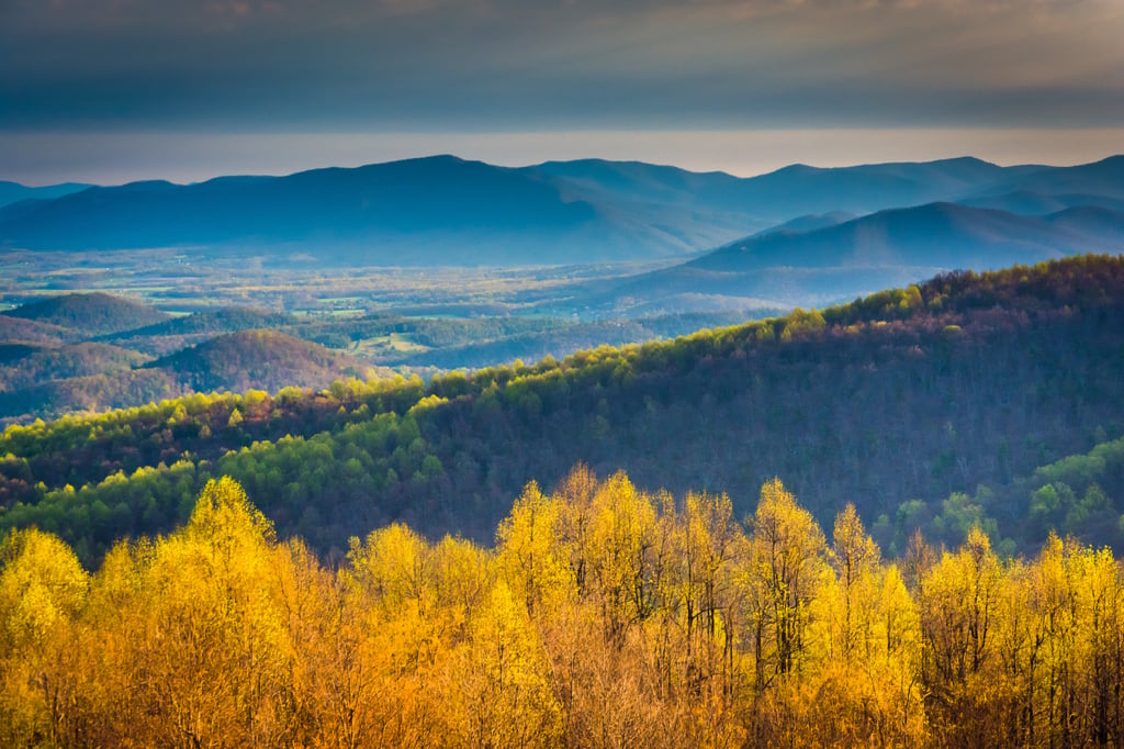 Morning view from Skyline Drive in Shenandoah National Park, Vir - Washingtonian Photograph via iStock.